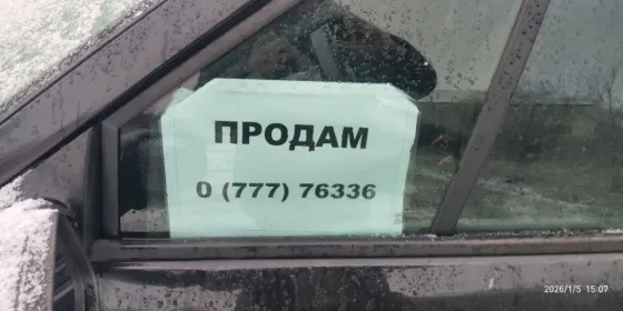 Renault Scenic 2004 год Суклея Суклея