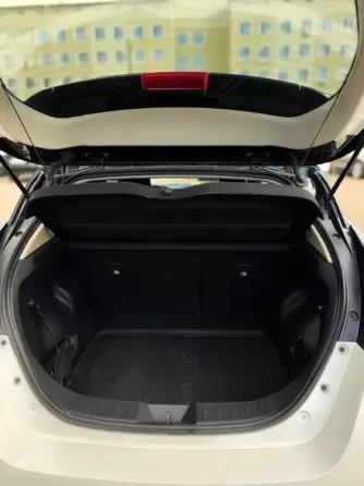 Nissan Leaf 2021 год Тирасполь Тирасполь