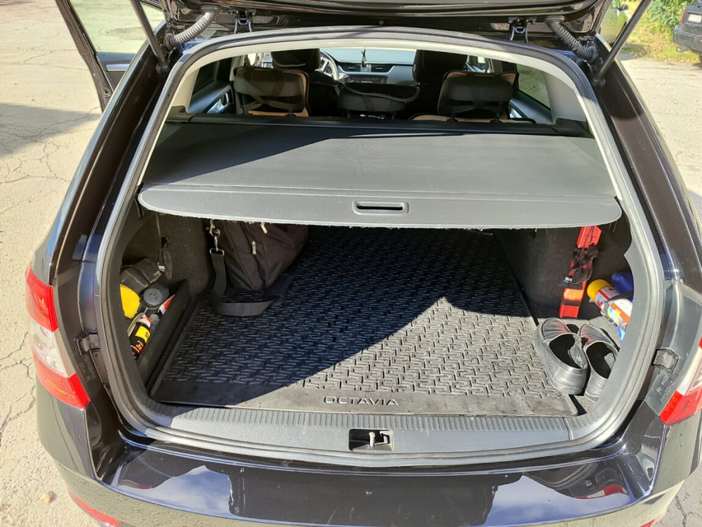 Skoda Octavia 2019 Tiraspol Tiraspol - photo 10