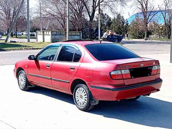 Nissan Primera 1997 an Tiraspol Tiraspol