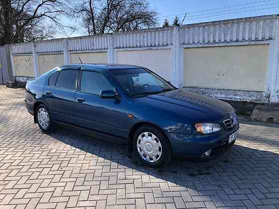 Nissan Primera 1999 an Bender Bender