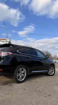 Lexus RX 2013 an Bender Bender