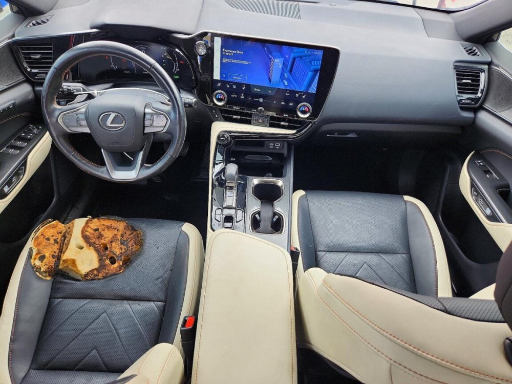 2022 LEXUS NX 350H Тирасполь - изображение 6