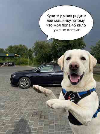 Peugeot 508 2019 an Tiraspol Tiraspol