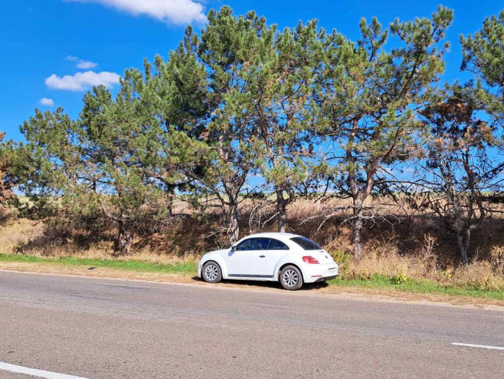 Volkswagen Beetle 2014 Рыбница - изображение 5