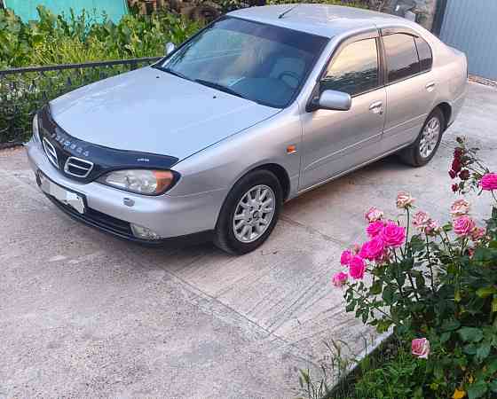 Nissan Primera 2001 an Bender Bender