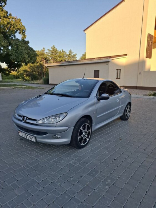 Peugeot 206 2001 год Слободзея Слободзея - изображение 1