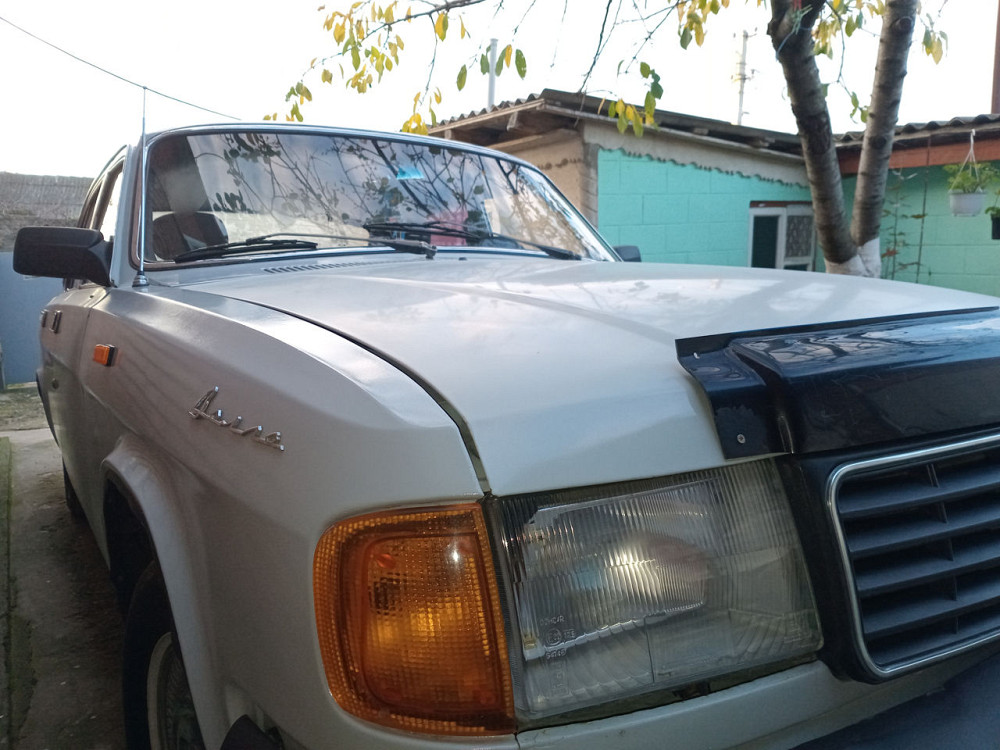 ГАЗ 31029 Кишинёв - изображение 9