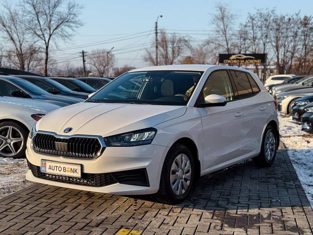 Skoda Fabia Vadul lui Vodă - fotografie 1