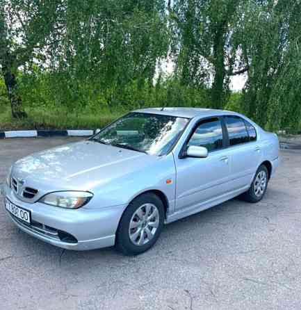 Nissan Primera 2001 год Суклея Суклея
