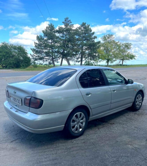 Nissan Primera 2001 год Суклея Sucleia - fotografie 2