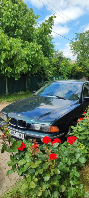 BMW 5 Series 1996 год Тирасполь Тирасполь - изображение 2