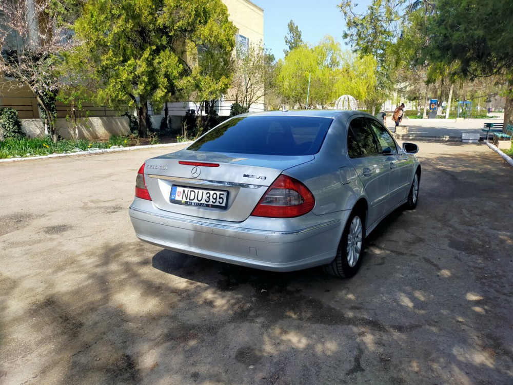 Продам Суклея - изображение 4