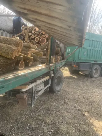 De vânzare camion Kamaz cu remorcă în stare excelentă Tiraspol