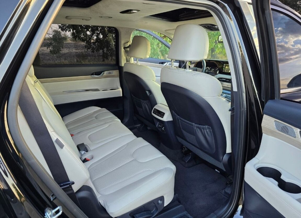 Hyundai Palisade 2021 Tiraspol Tiraspol - photo 8