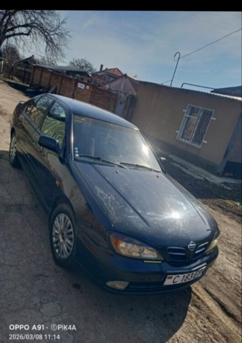 Nissan Primera 11 1.8 бензин 2000 год Обмен Тирасполь - изображение 1