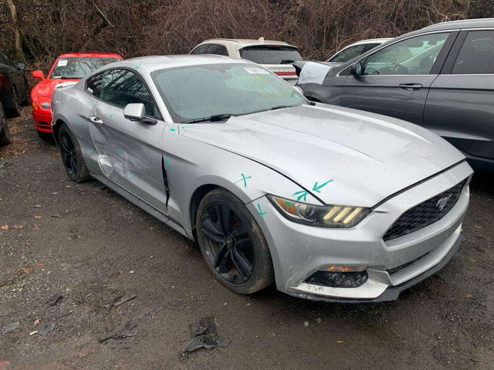 Ford Mustang 2015 an Bender Bender - fotografie 6