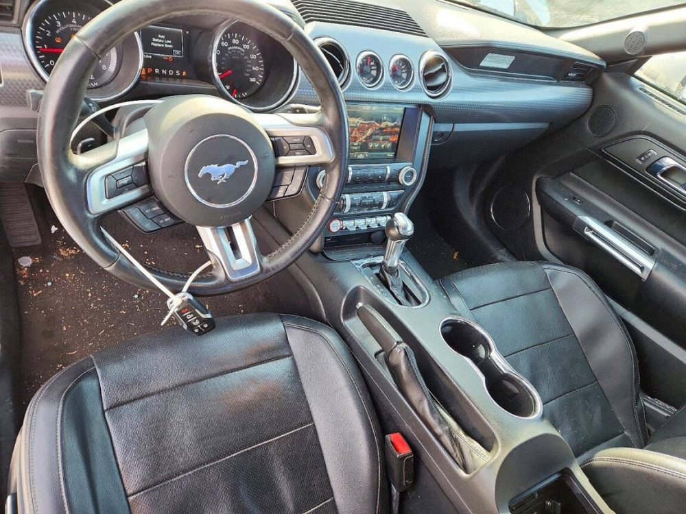 Ford Mustang 2015 an Bender Bender - fotografie 5