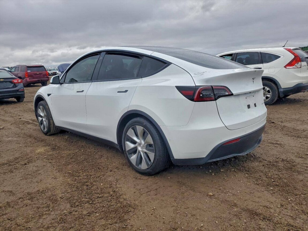 Tesla Model Y 21 год Тирасполь - изображение 3