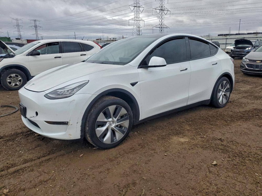Tesla Model Y 21 год Тирасполь - изображение 1