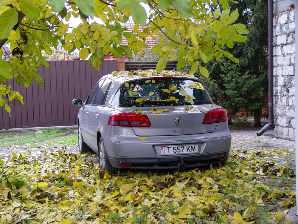Renault Vel Satis 2003 год Тирасполь Tiraspol - photo 4