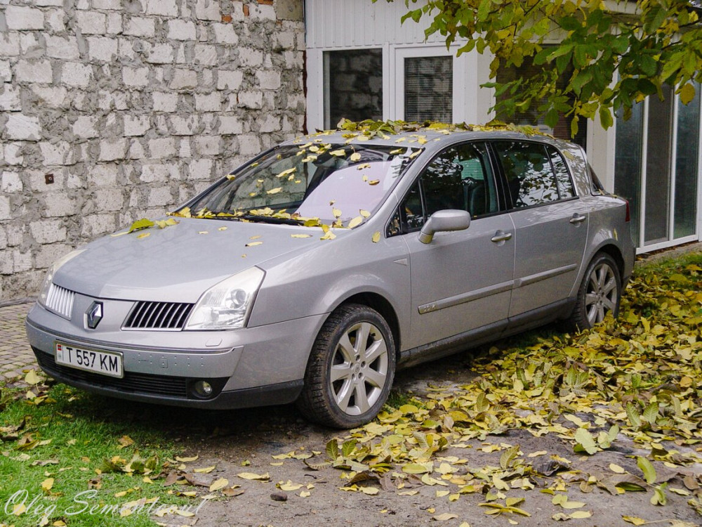 Renault Vel Satis 2003 год Тирасполь Tiraspol - photo 2