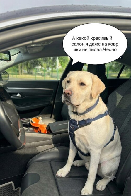 Peugeot 508 2019 год Тирасполь Tiraspol - photo 7