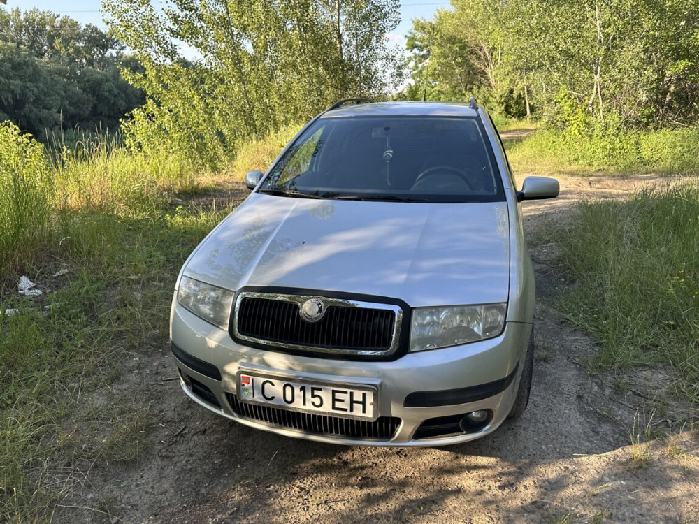 Skoda Fabia 2003 год Тирасполь Tiraspol - photo 4