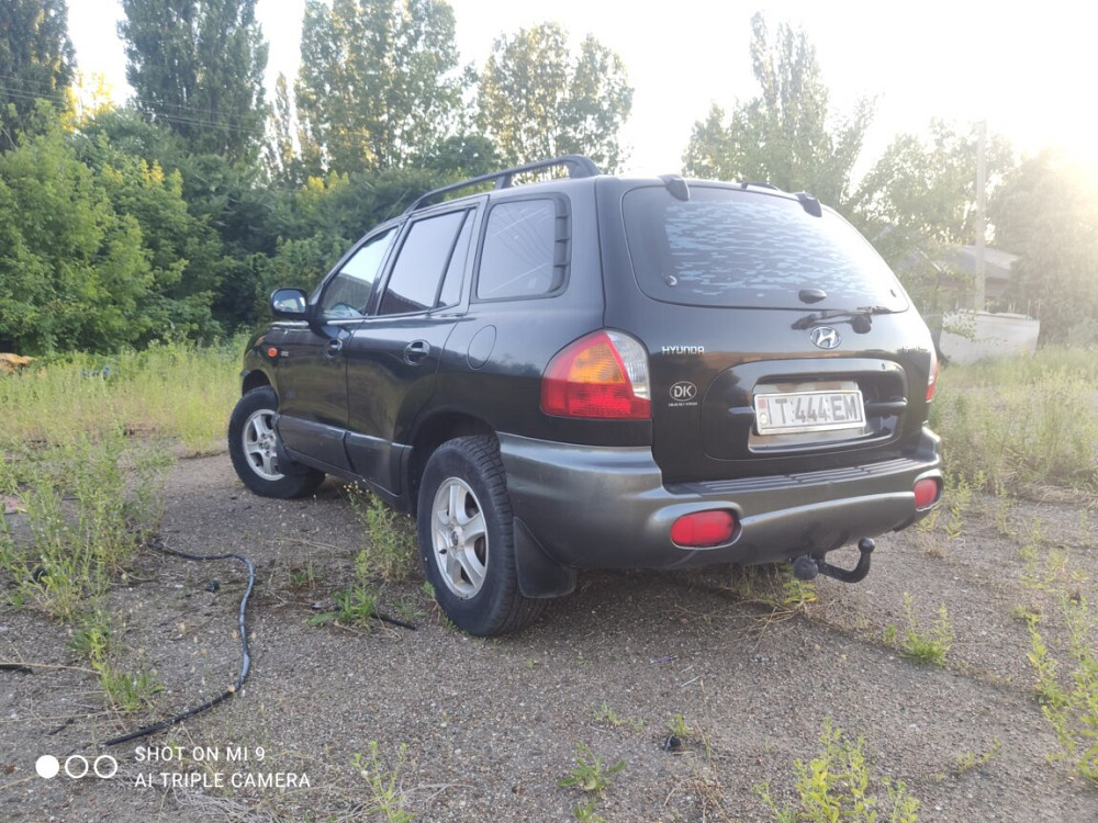 Hyundai Santa Fe 2002 год Бендеры Bender - photo 4