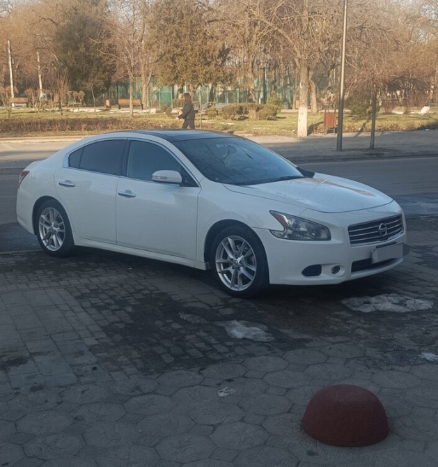 Nissan Maxima 2009 год Бендеры Бендеры - изображение 1