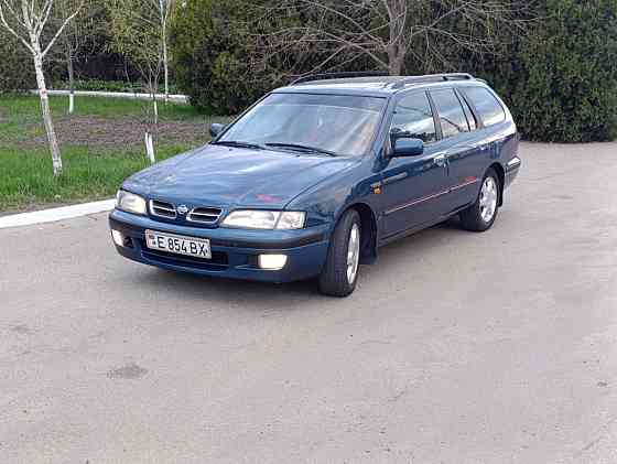 Nissan Primera 1999 Bender Bender