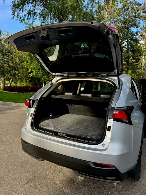 Lexus NX Series Кишинёв - изображение 8
