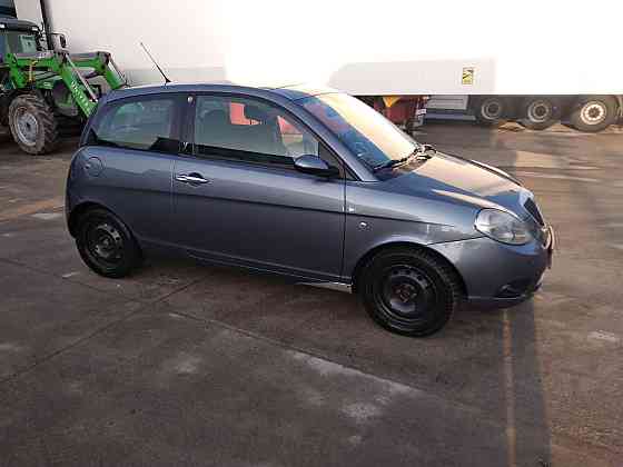 Lancia Ypsilon 2009 год Резина Резина