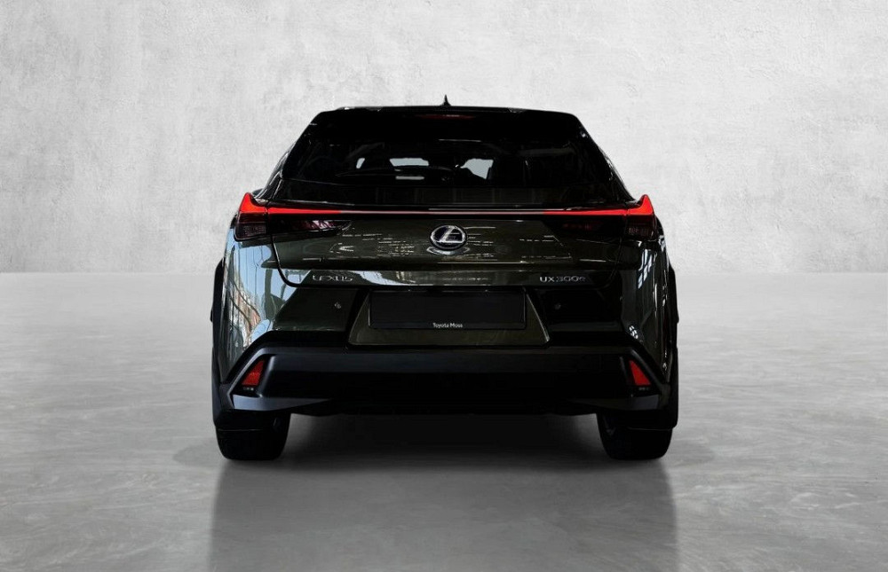 Lexus UX 300e Бельцы - изображение 2